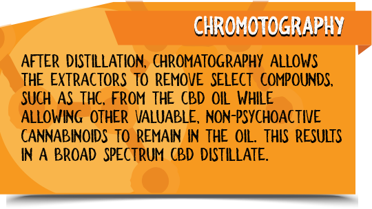 CBD Chromotography