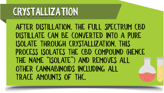 CBD Crystallization
