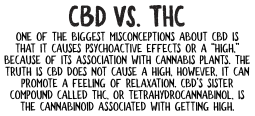 CBD VS. THC