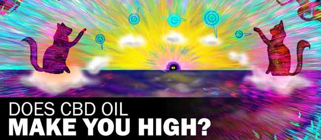 Does CBD Oil Make You High?