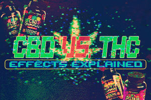 CBD vs THC Effects Explained: Understanding the Real Differences