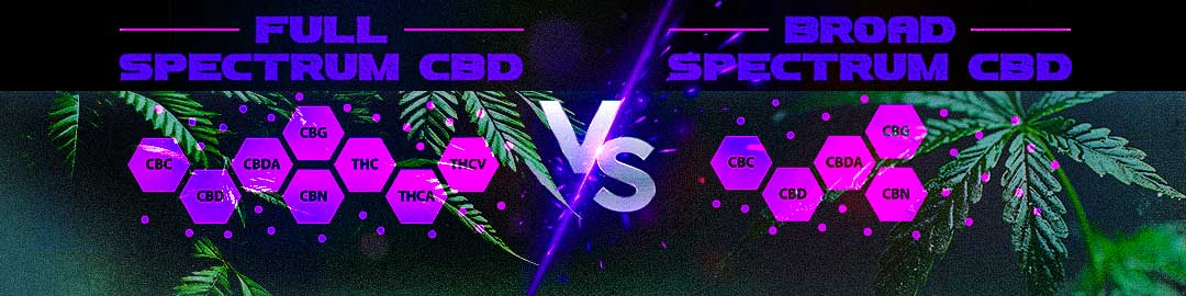 Full Spectrum vs Broad Spectrum CBD: What's the Difference?